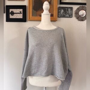 Aerie Gray Sweatshirt